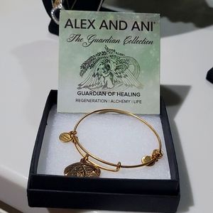 Alex and Ani bracelet-the Guardian Collection